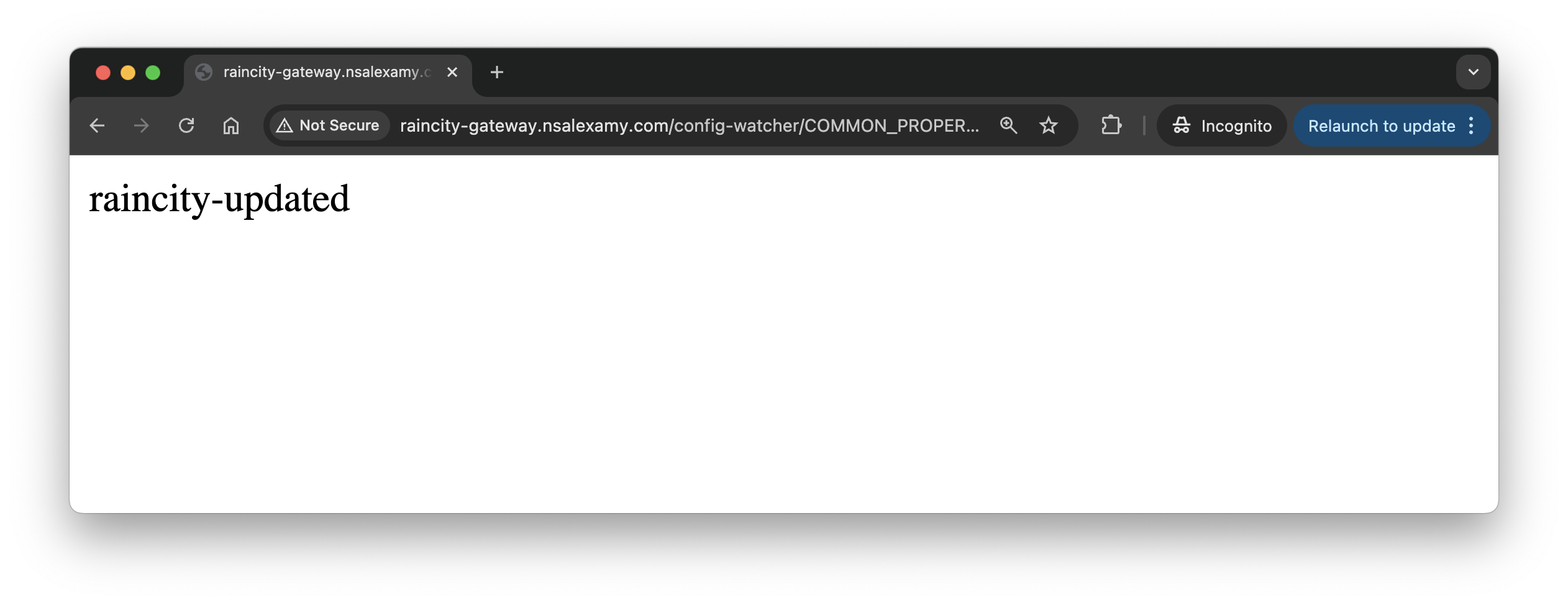 config watcher test 2