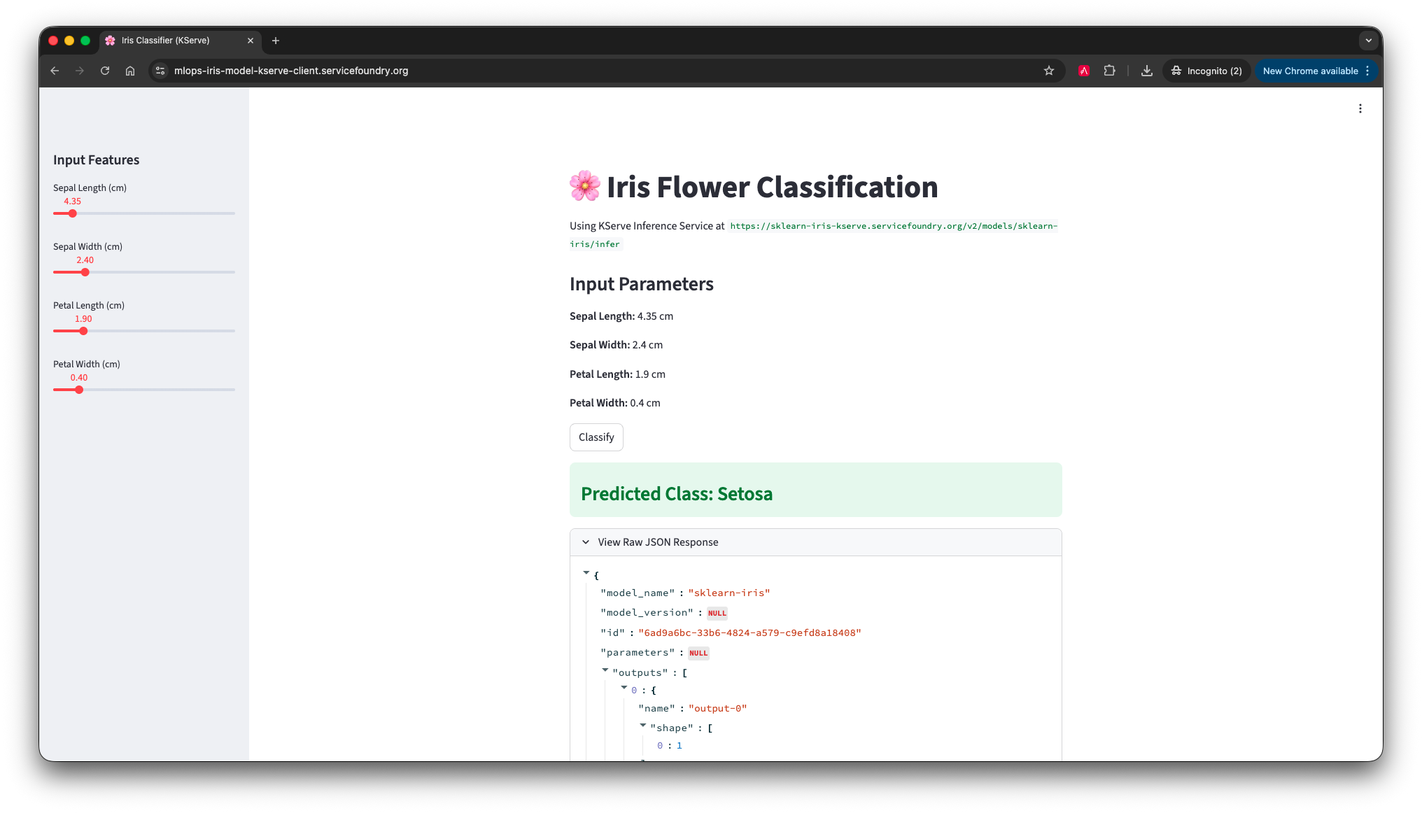 Streamlit Prediction Interface