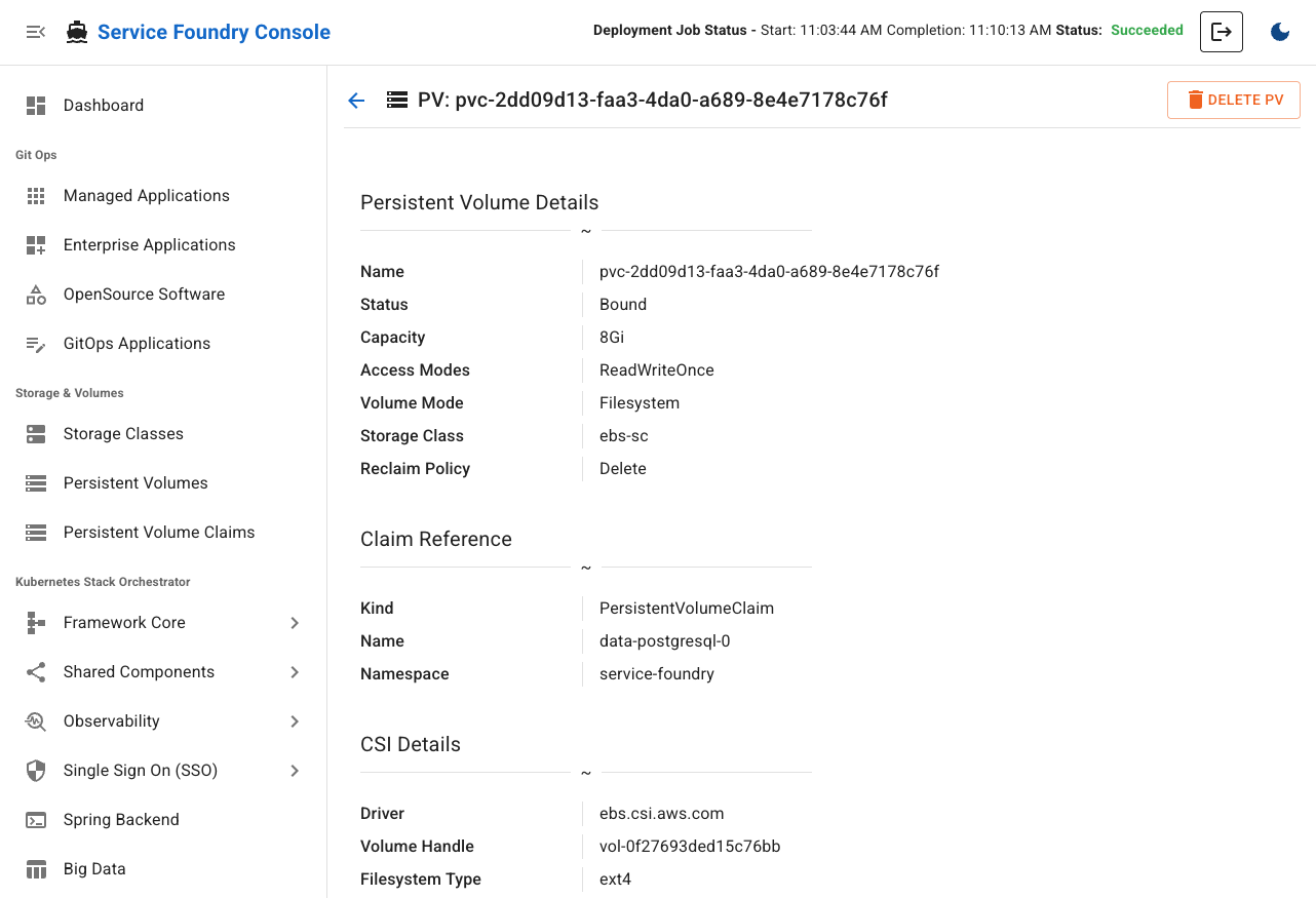 View Persistent Volume Details