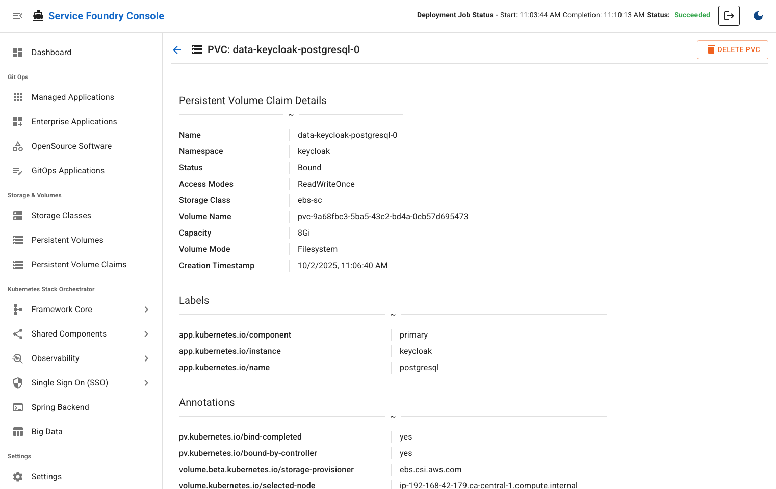 View Persistent Volume Claim