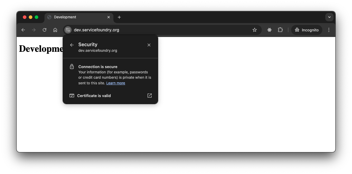 dev servicefoundry org