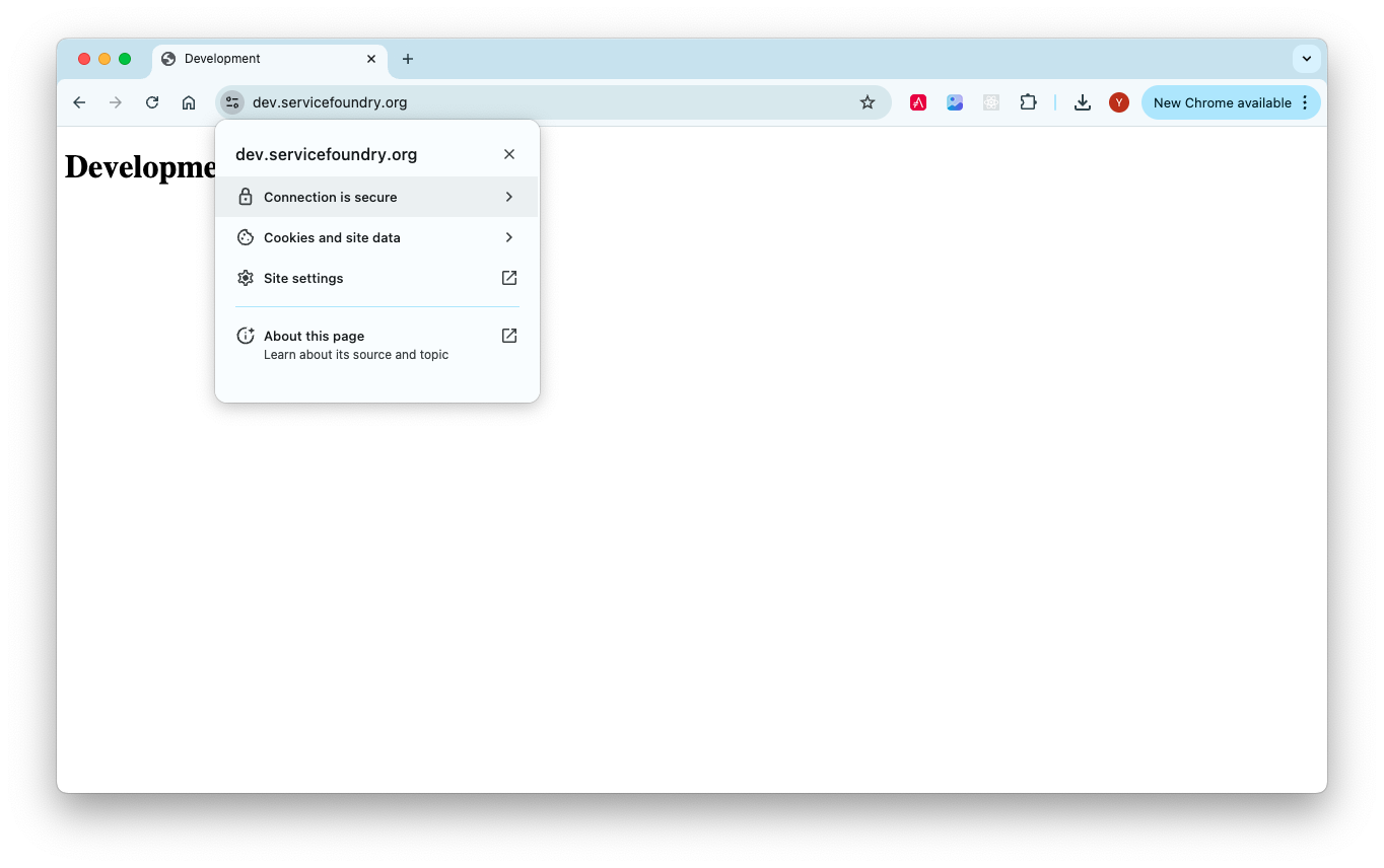 https dev servicefoundry org
